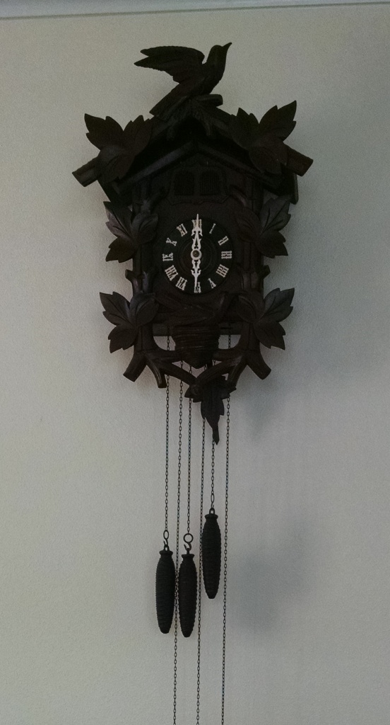 IMG_20150423_1800506831 Minnesota Clock Repair Service